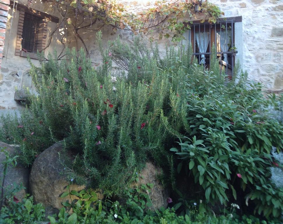 Farmstay Agriturismo Prunara Monzuno Zewnętrze zdjęcie